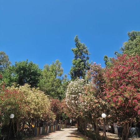 Camping Pitagora Hotel Rossano Eksteriør billede