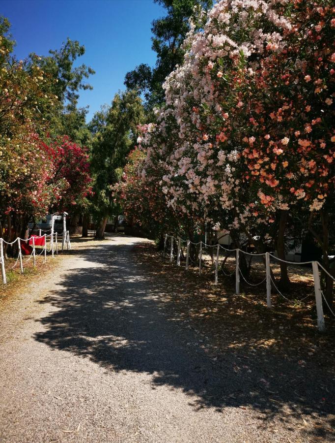 Camping Pitagora Hotel Rossano Eksteriør billede