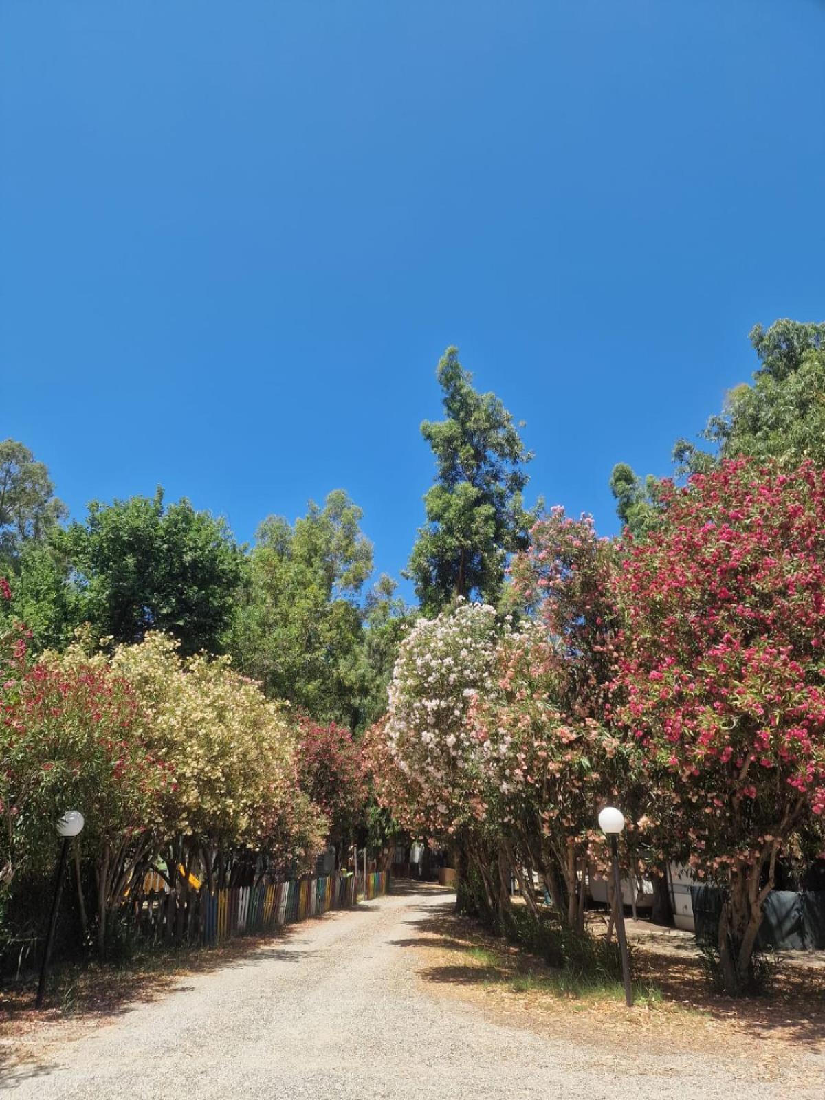 Camping Pitagora Hotel Rossano Eksteriør billede